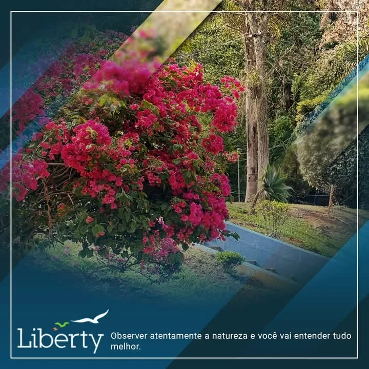 Casa de recuperação para dependência química na Grande São Paulo